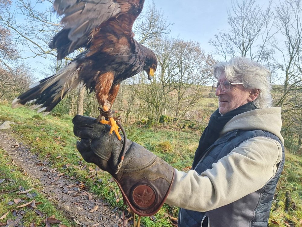 birthday celebration with a hawk