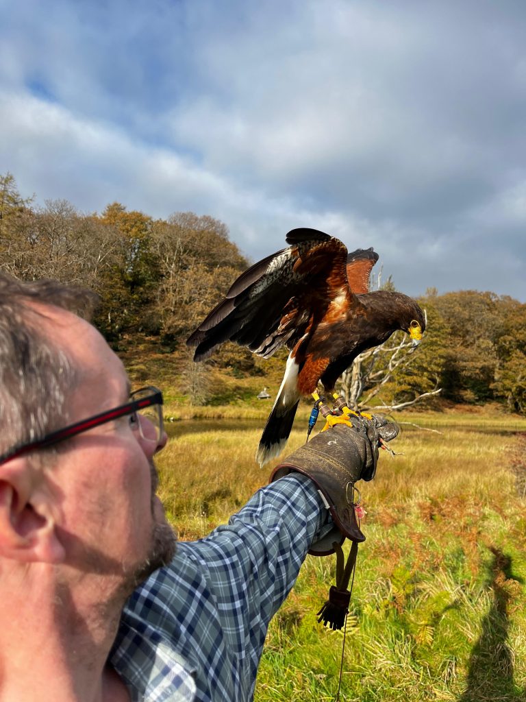 The Complete Guide to Falconry: History, Terminology, and Training