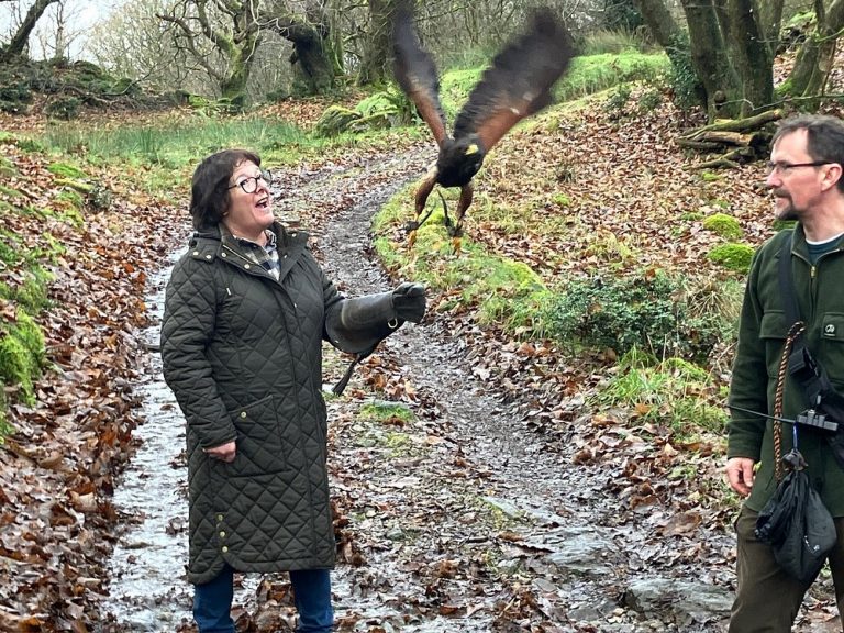 Experiences Near Me That Make You Feel Something (Not Just Pass the Time)