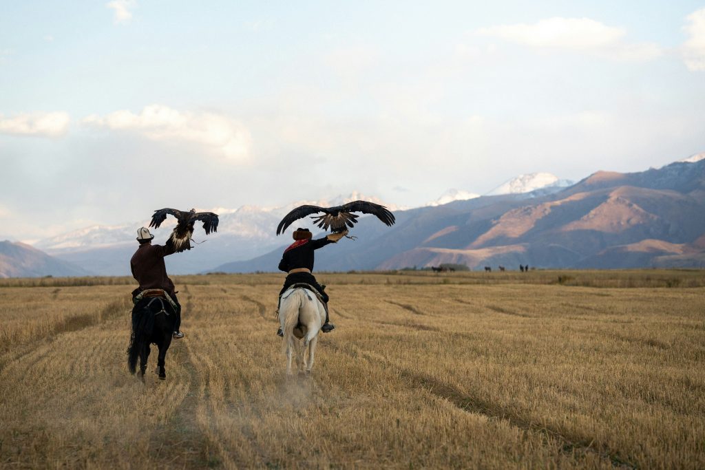 what is falconry?  Spenser Sembrat photo from Unspalsh