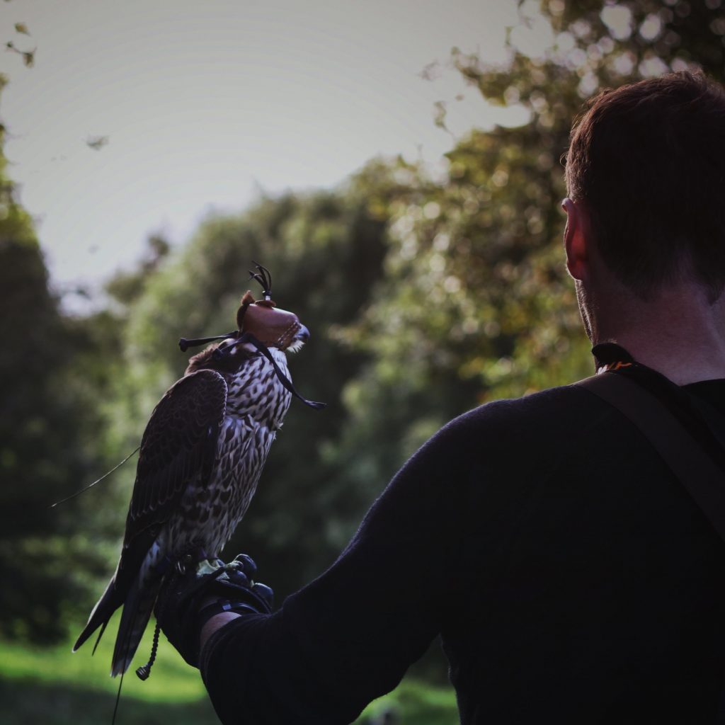 man with hawk on fist